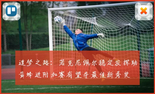 追梦之路：若克尼佩尔稳定发挥助黄蜂进附加赛有望夺最佳新秀奖